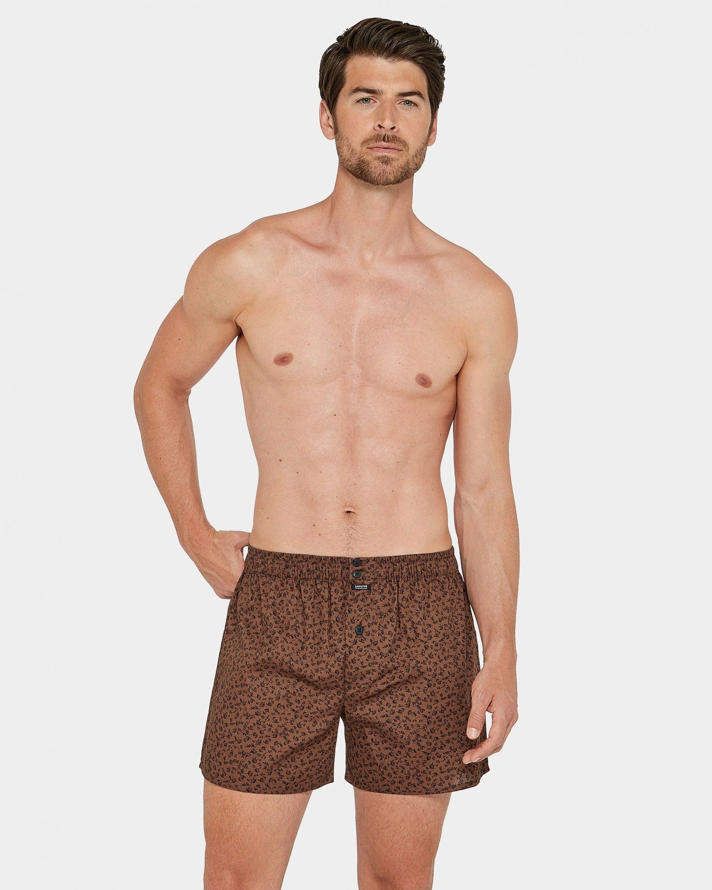 Boxer Americano OAK - IMPETUS